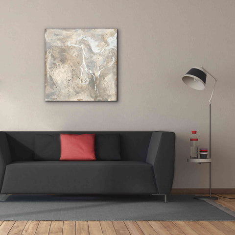 Image of 'White Horse II' by Chris Paschke, Giclee Canvas Wall Art,37 x 37