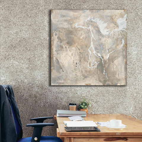 Image of 'White Horse II' by Chris Paschke, Giclee Canvas Wall Art,37 x 37