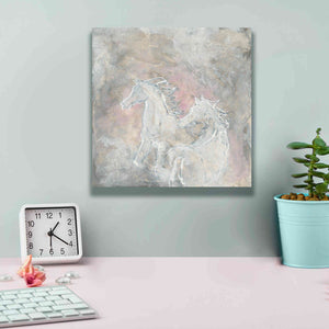 'Blush Horses I' by Chris Paschke, Giclee Canvas Wall Art,12 x 12