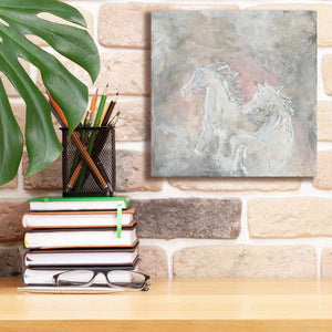 'Blush Horses I' by Chris Paschke, Giclee Canvas Wall Art,12 x 12