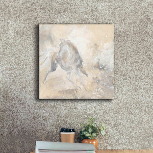 'Grey Horse I' by Chris Paschke, Giclee Canvas Wall Art,18 x 18