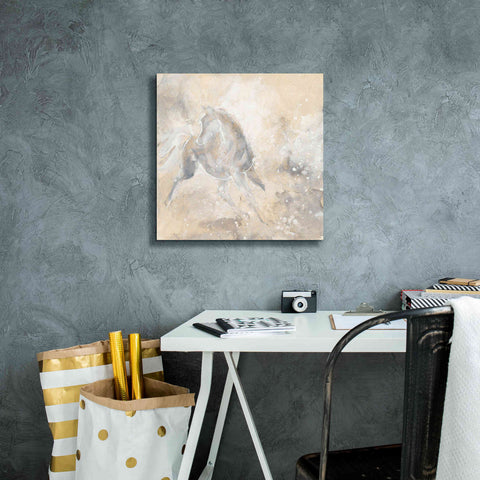 Image of 'Grey Horse I' by Chris Paschke, Giclee Canvas Wall Art,18 x 18