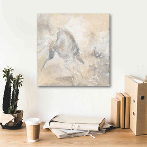 'Grey Horse I' by Chris Paschke, Giclee Canvas Wall Art,18 x 18