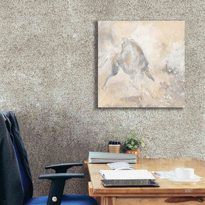 'Grey Horse I' by Chris Paschke, Giclee Canvas Wall Art,26 x 26