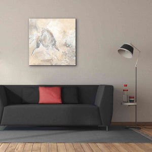 'Grey Horse I' by Chris Paschke, Giclee Canvas Wall Art,37 x 37