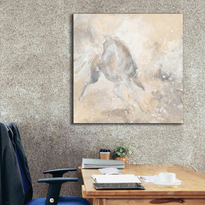 'Grey Horse I' by Chris Paschke, Giclee Canvas Wall Art,37 x 37