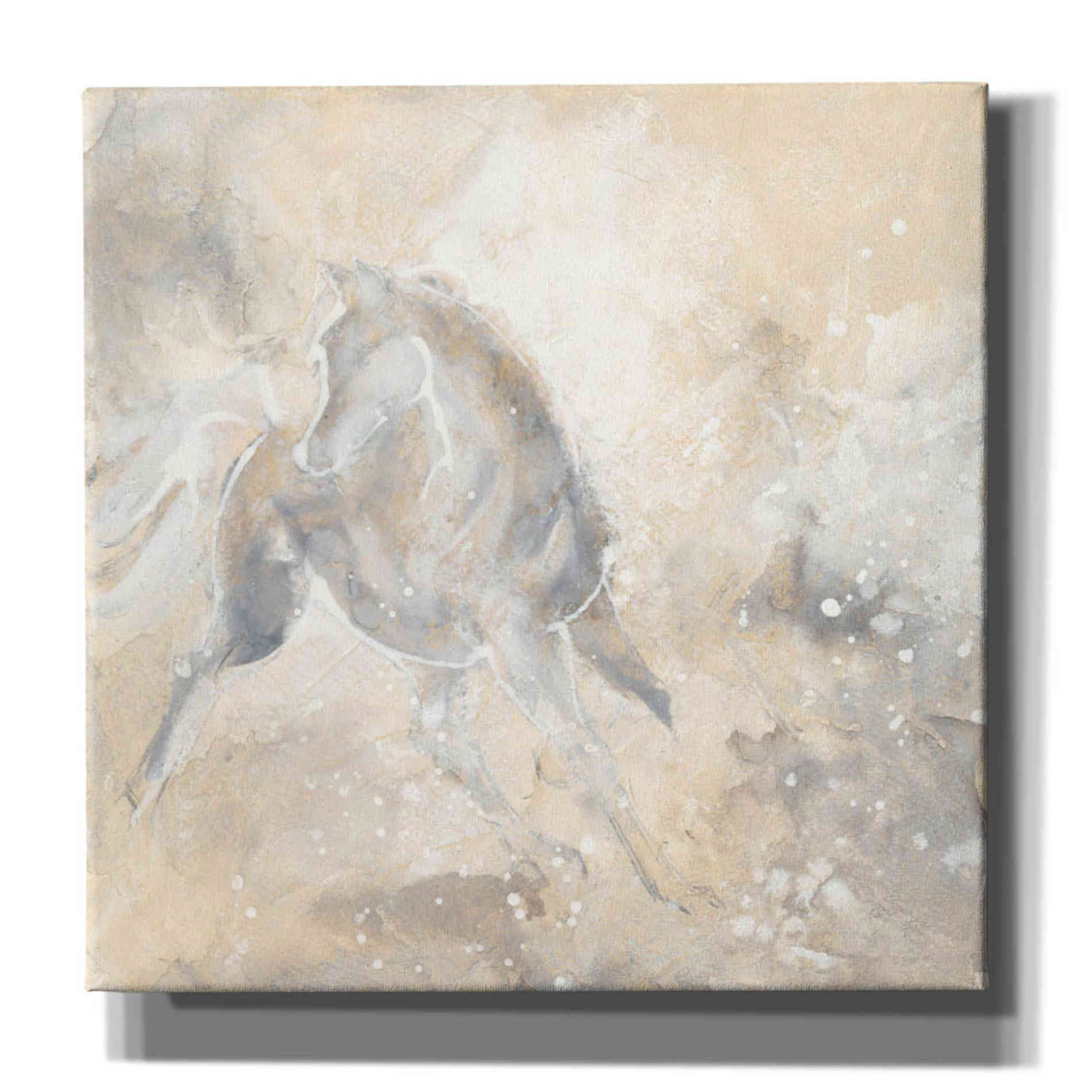 'Grey Horse I' by Chris Paschke, Giclee Canvas Wall Art