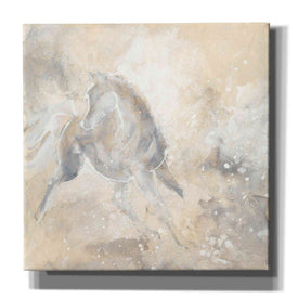 'Grey Horse I' by Chris Paschke, Giclee Canvas Wall Art