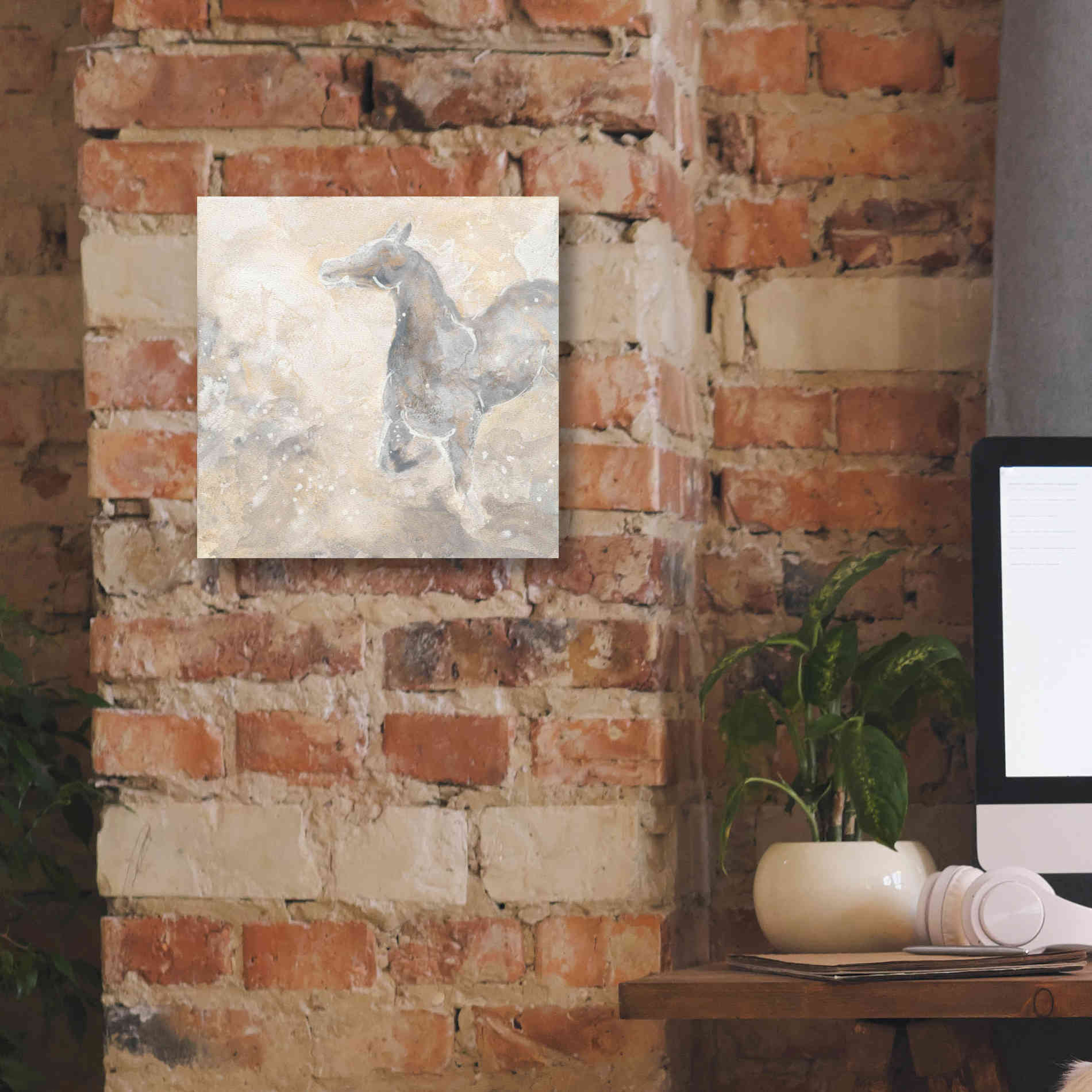 'Grey Horse II' by Chris Paschke, Giclee Canvas Wall Art,12 x 12