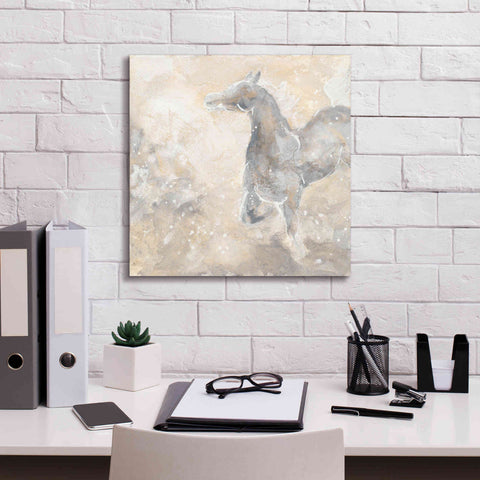 Image of 'Grey Horse II' by Chris Paschke, Giclee Canvas Wall Art,18 x 18