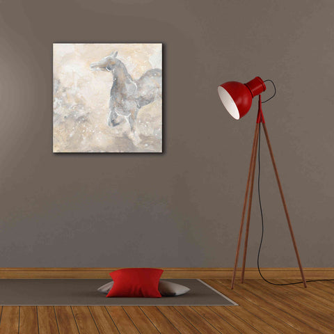 Image of 'Grey Horse II' by Chris Paschke, Giclee Canvas Wall Art,26 x 26