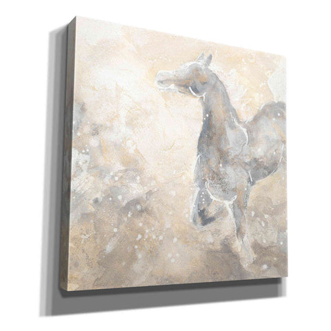 Image of 'Grey Horse II' by Chris Paschke, Giclee Canvas Wall Art
