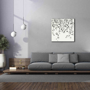 'Bubbles III' by Chris Paschke, Giclee Canvas Wall Art,37 x 37