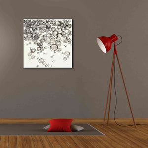 'Bubbles IV' by Chris Paschke, Giclee Canvas Wall Art,26 x 26