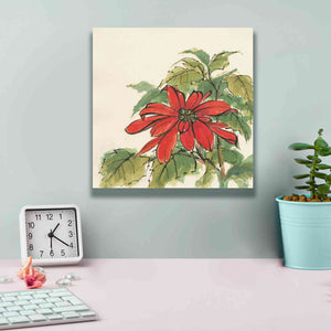 'Poinsettia I' by Chris Paschke, Giclee Canvas Wall Art,12 x 12