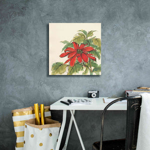 'Poinsettia I' by Chris Paschke, Giclee Canvas Wall Art,18 x 18