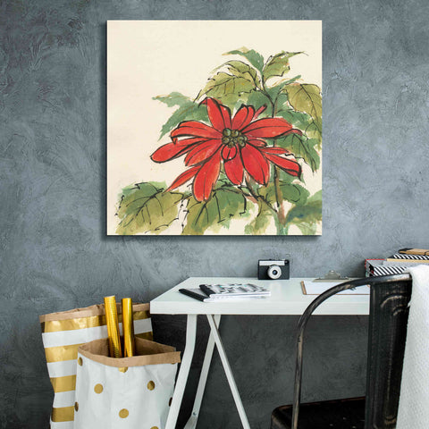 Image of 'Poinsettia I' by Chris Paschke, Giclee Canvas Wall Art,26 x 26