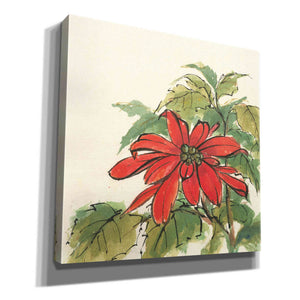 'Poinsettia I' by Chris Paschke, Giclee Canvas Wall Art