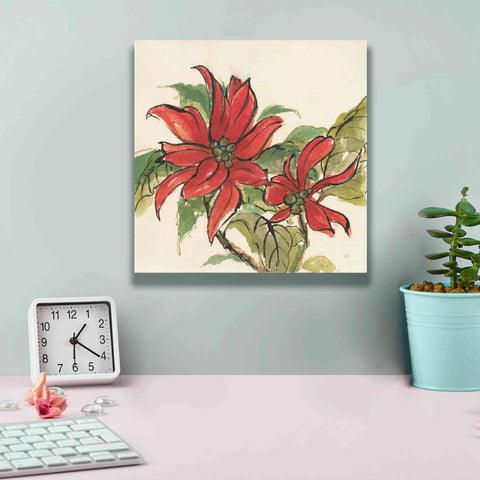 Image of 'Poinsettia II' by Chris Paschke, Giclee Canvas Wall Art,12 x 12