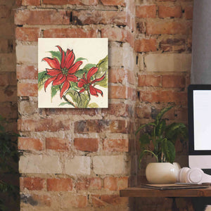 'Poinsettia II' by Chris Paschke, Giclee Canvas Wall Art,12 x 12