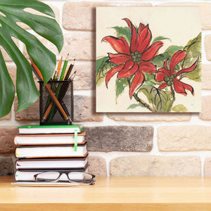 'Poinsettia II' by Chris Paschke, Giclee Canvas Wall Art,12 x 12