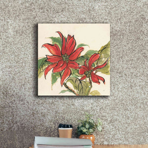 'Poinsettia II' by Chris Paschke, Giclee Canvas Wall Art,18 x 18
