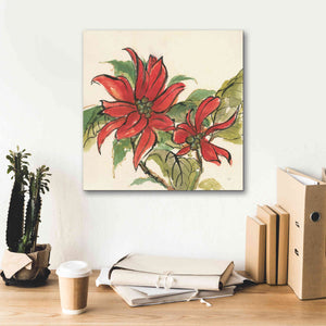 'Poinsettia II' by Chris Paschke, Giclee Canvas Wall Art,18 x 18