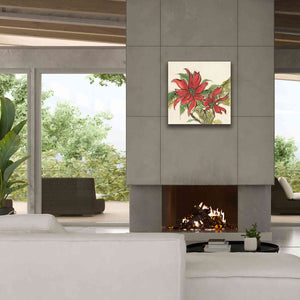 'Poinsettia II' by Chris Paschke, Giclee Canvas Wall Art,26 x 26