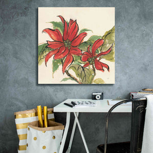 'Poinsettia II' by Chris Paschke, Giclee Canvas Wall Art,26 x 26