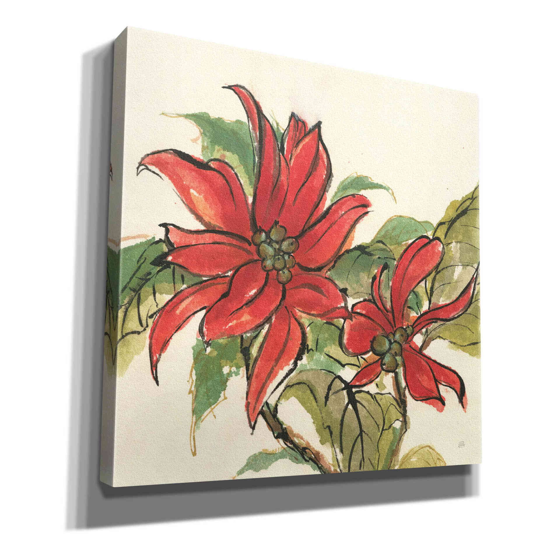 'Poinsettia II' by Chris Paschke, Giclee Canvas Wall Art