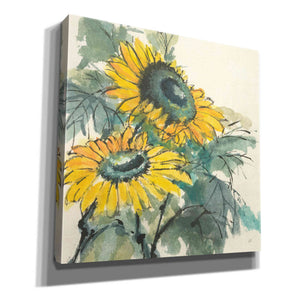 'Sunflower I' by Chris Paschke, Giclee Canvas Wall Art