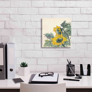 'Sunflower II' by Chris Paschke, Giclee Canvas Wall Art,12 x 12