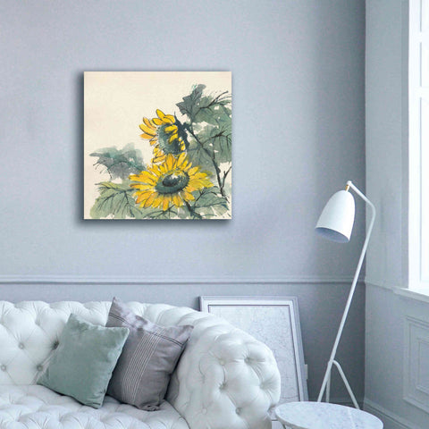 Image of 'Sunflower II' by Chris Paschke, Giclee Canvas Wall Art,37 x 37