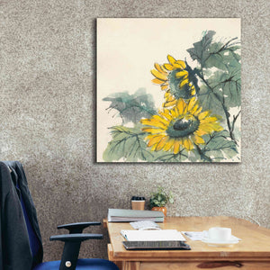 'Sunflower II' by Chris Paschke, Giclee Canvas Wall Art,37 x 37
