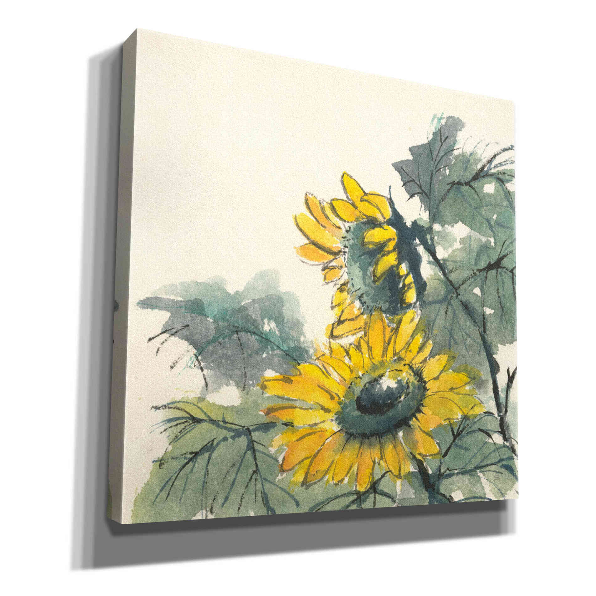 'Sunflower II' by Chris Paschke, Giclee Canvas Wall Art