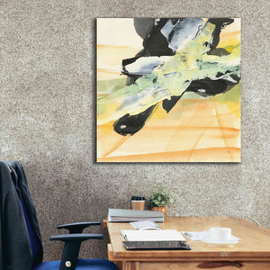 'Outcroppings II' by Chris Paschke, Giclee Canvas Wall Art,37 x 37
