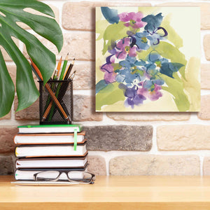 'Spring Bouquet II' by Chris Paschke, Giclee Canvas Wall Art,12 x 12