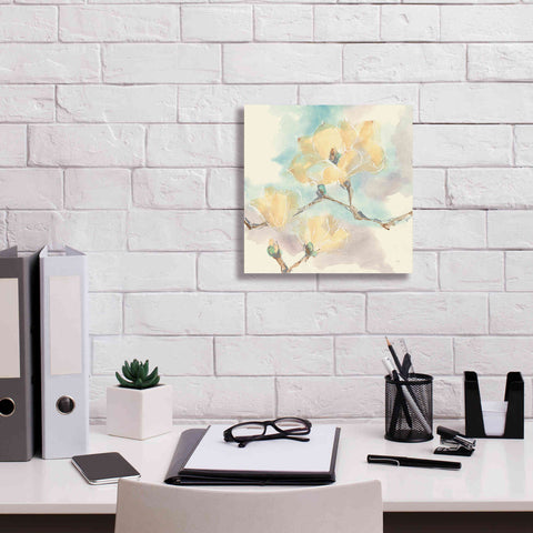 Image of 'Magnolias In White I' by Chris Paschke, Giclee Canvas Wall Art,12 x 12