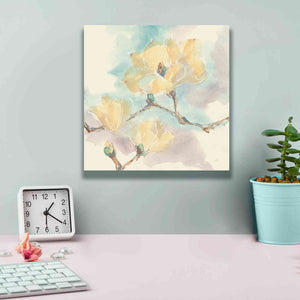 'Magnolias In White I' by Chris Paschke, Giclee Canvas Wall Art,12 x 12
