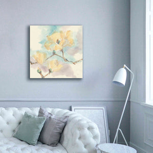 'Magnolias In White I' by Chris Paschke, Giclee Canvas Wall Art,37 x 37