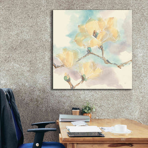 'Magnolias In White I' by Chris Paschke, Giclee Canvas Wall Art,37 x 37