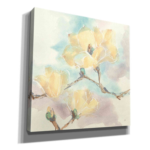 Image of 'Magnolias In White I' by Chris Paschke, Giclee Canvas Wall Art