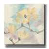 'Magnolias In White I' by Chris Paschke, Giclee Canvas Wall Art