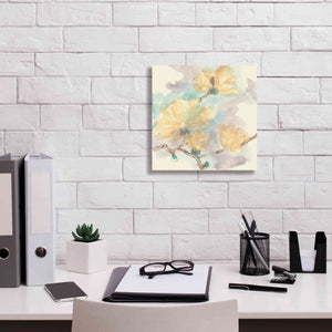 'Magnolias In White II' by Chris Paschke, Giclee Canvas Wall Art,12 x 12