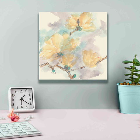 Image of 'Magnolias In White II' by Chris Paschke, Giclee Canvas Wall Art,12 x 12
