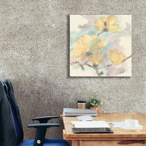 'Magnolias In White II' by Chris Paschke, Giclee Canvas Wall Art,26 x 26