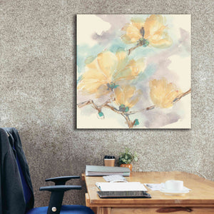 'Magnolias In White II' by Chris Paschke, Giclee Canvas Wall Art,37 x 37