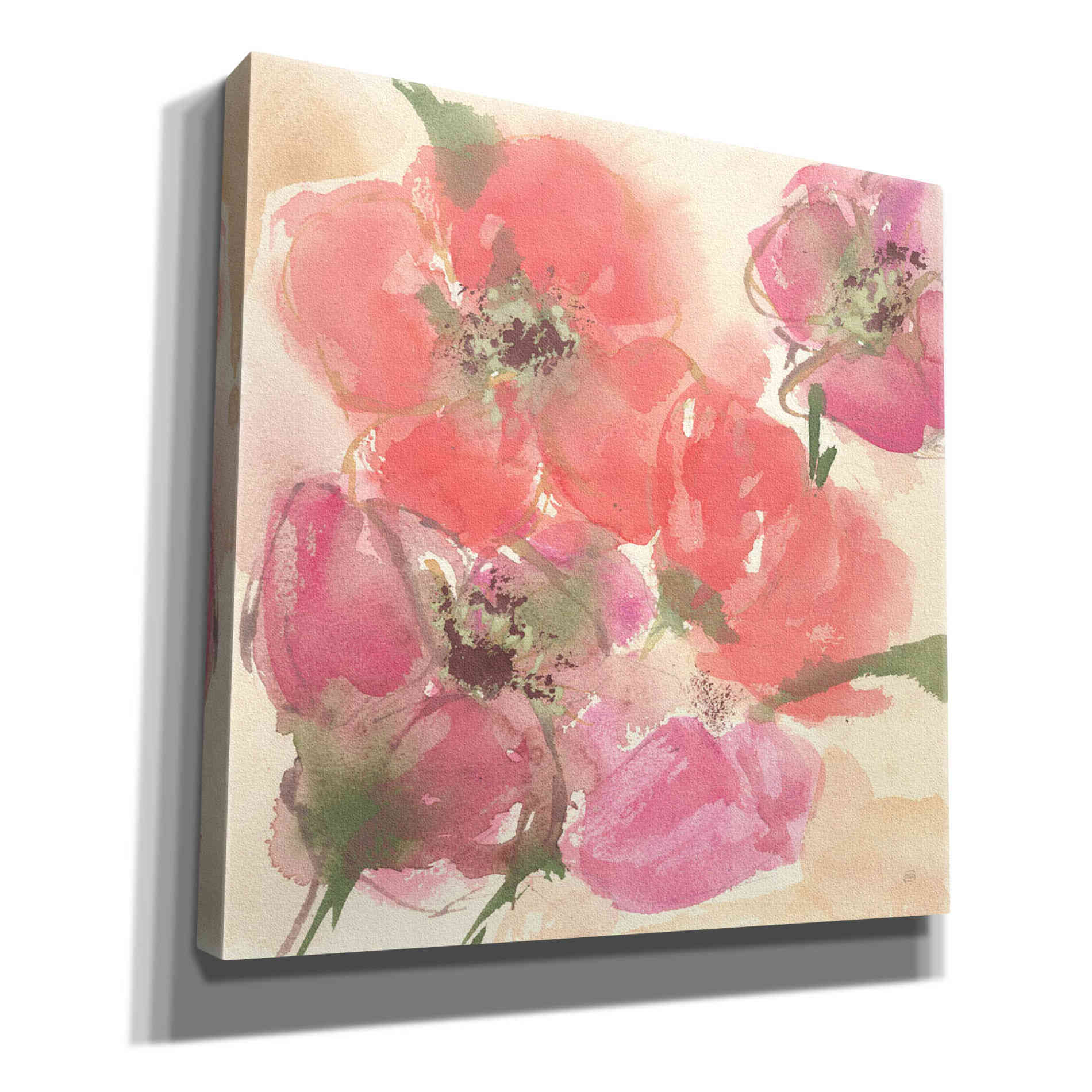 'Coral Blooms I' by Chris Paschke, Giclee Canvas Wall Art