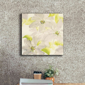 'Dancing Clematis I' by Chris Paschke, Giclee Canvas Wall Art,18 x 18