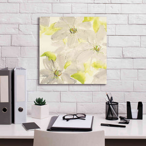 'Dancing Clematis I' by Chris Paschke, Giclee Canvas Wall Art,18 x 18
